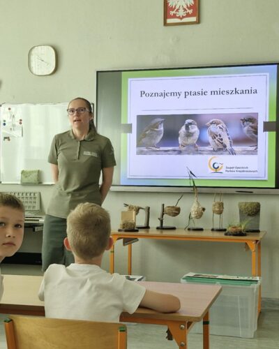 Warsztaty przyrodnicze prowadzone przez pracowników Parku Krajobrazowego Góra Św Anny.